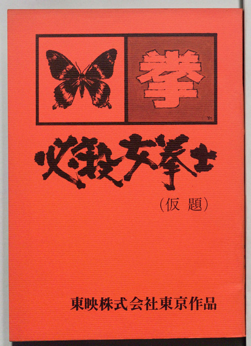 必殺女拳士(仮題)