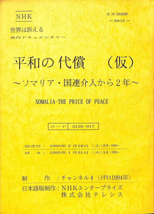 平和の代償(仮)～ソマリア・国連介入から2年～