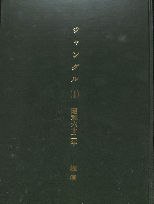 ジャングル