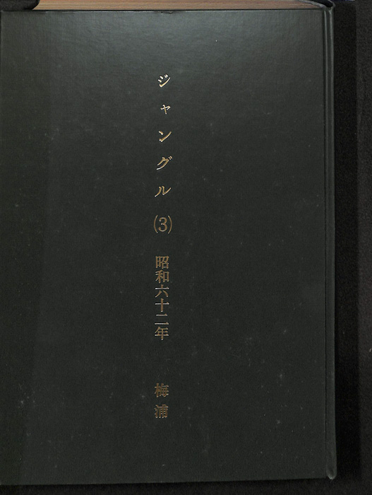 ジャングル