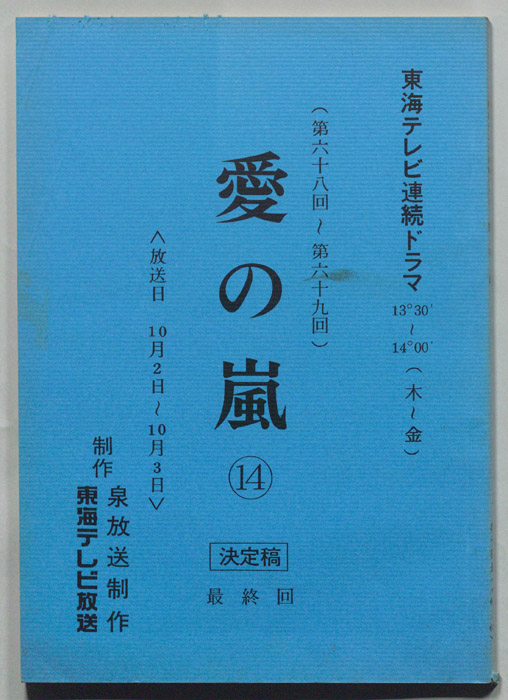 愛の嵐（決定稿）