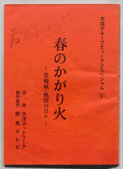 春のかがり火　箕輪城・戦国の日々