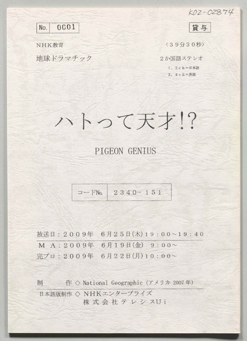ハトって天才！？