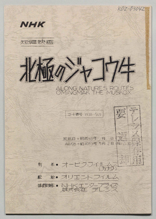 北極のジャコウ牛