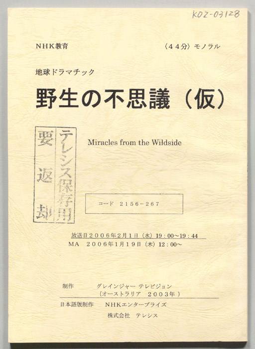 野生の不思議(仮)
