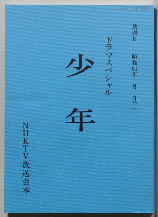 少年