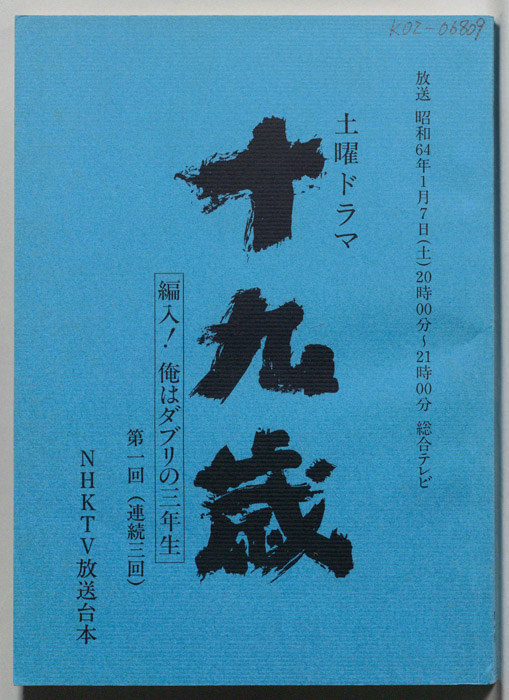 十九歳