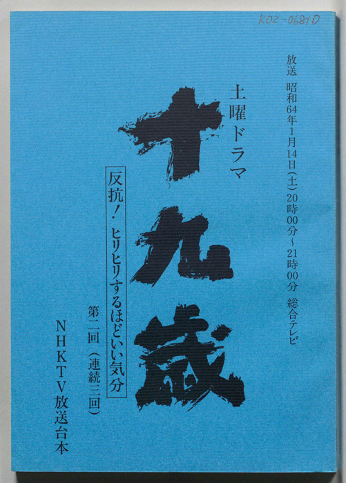 十九歳