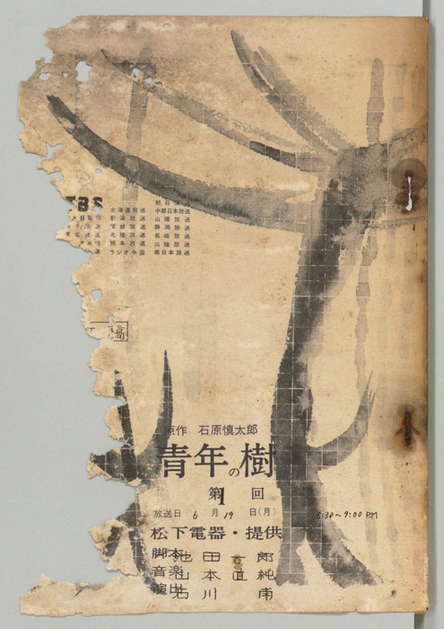 青年の樹（改訂稿）