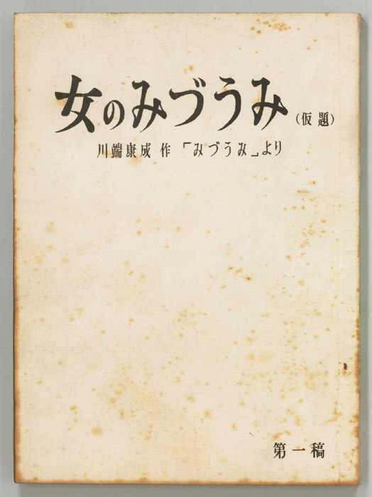 女のみづうみ(仮題)（第一稿）