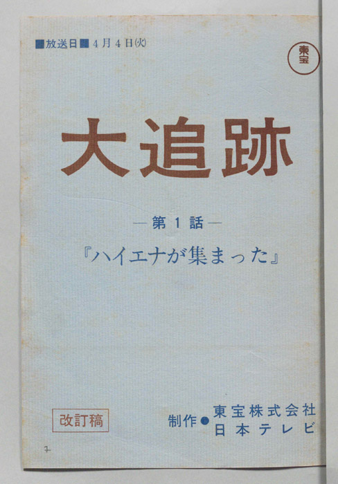 大追跡