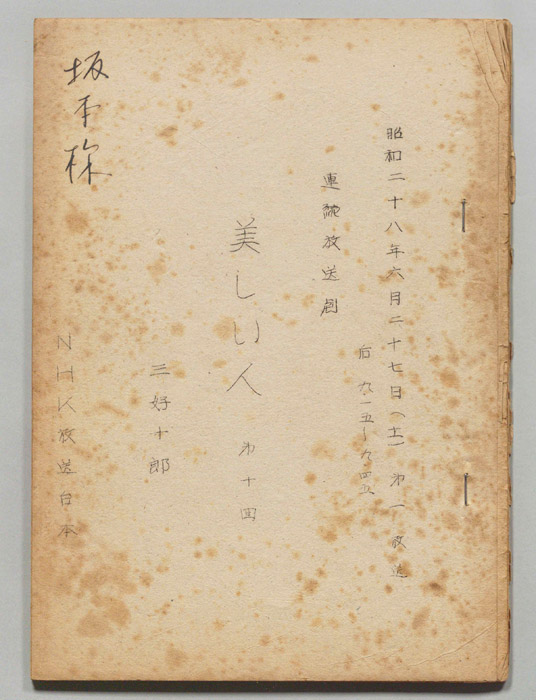 美しい人