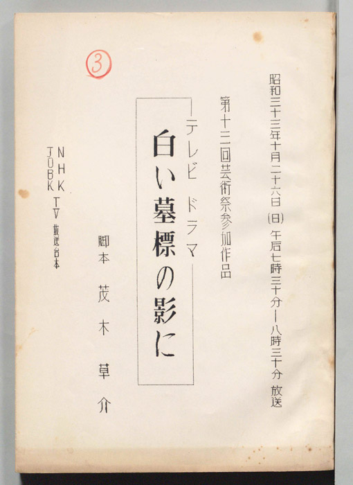 白い墓標の影に