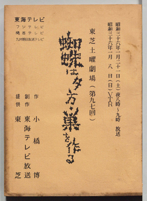 蜘蛛は夕方・巣を作る