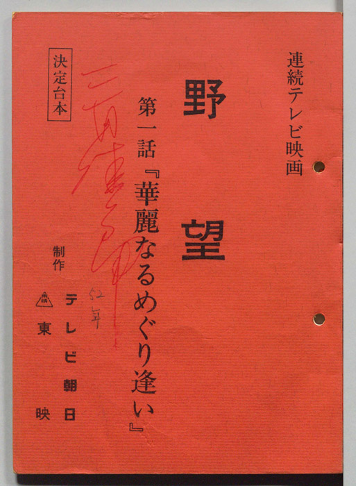 野望（決定台本）