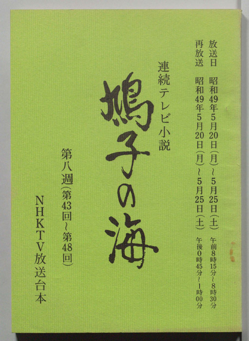 鳩子の海