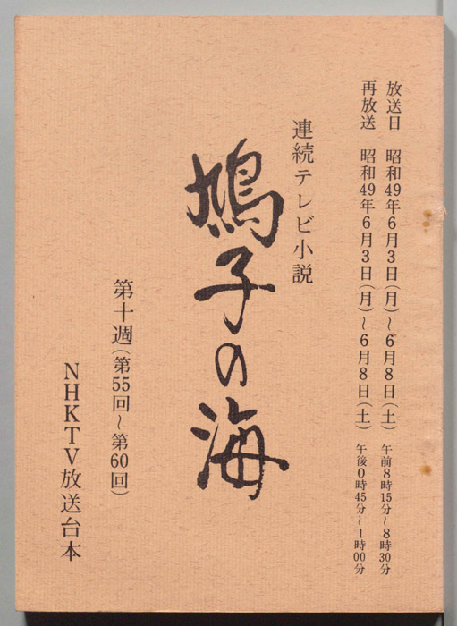 鳩子の海