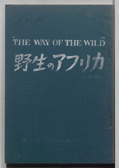 野生のアフリカ(仮題)