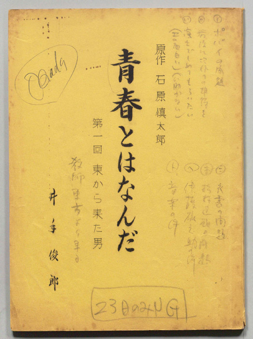 青春とはなんだ