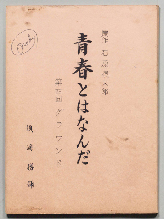 青春とはなんだ