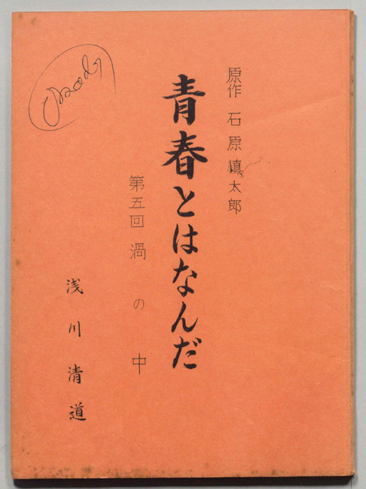 青春とはなんだ