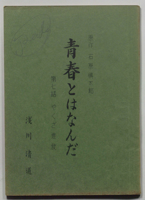 青春とはなんだ