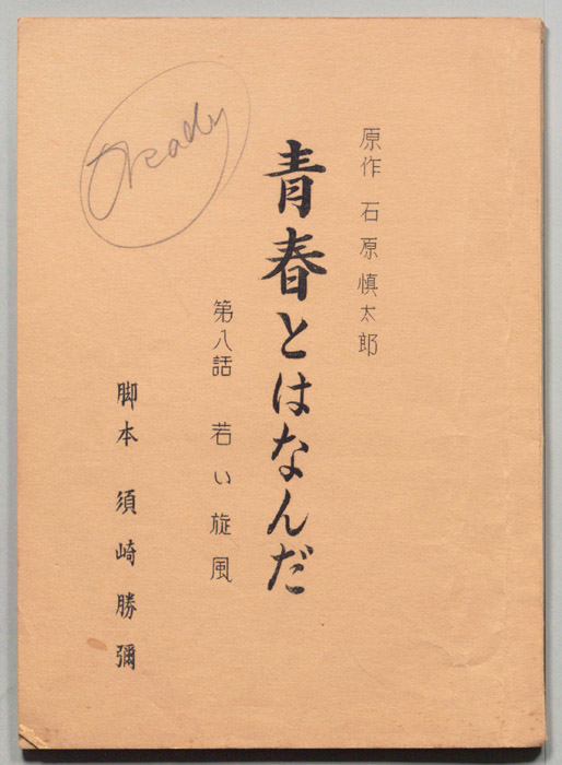 青春とはなんだ