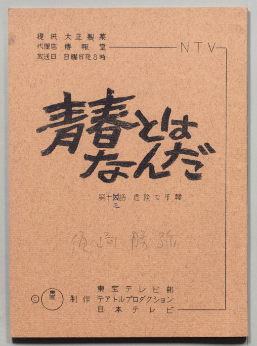 青春とはなんだ
