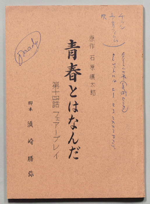 青春とはなんだ