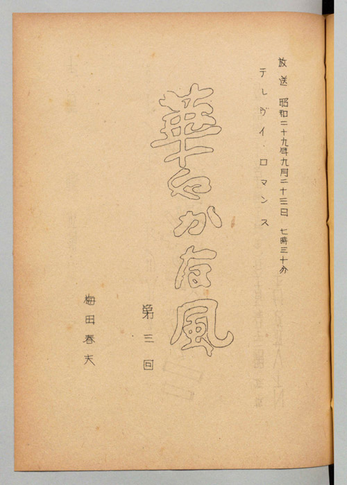 華やかな風
