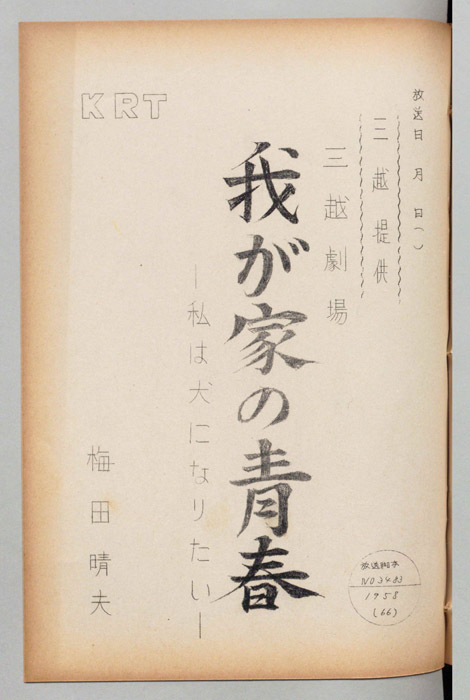我が家の青春